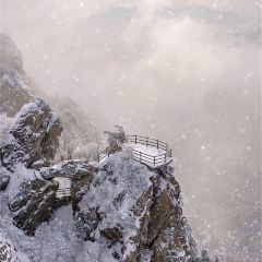 老君山枕云悬崖观景民宿·老君山顶2217云顶餐厅 User Photo