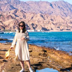 Sea Bride User Photo