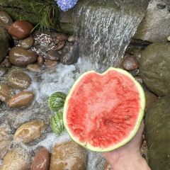 隐荷茶舍酒馆 User Photo