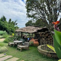 青禾文创田院 User Photo