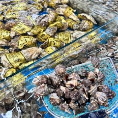 东戴河蓝色港湾·海鲜·烧烤·东北菜(佳兆业店) User Photo