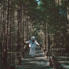 凡塔夕 User Photo