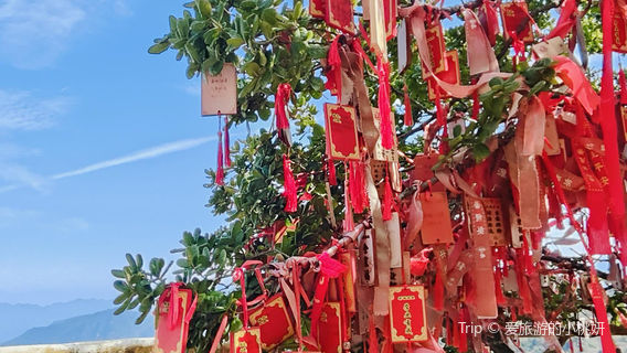 南宮山國家森林公園-觀景台