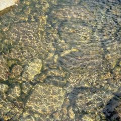 景熙豐莊園張用戶圖片