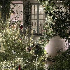 Cooperland User Photo