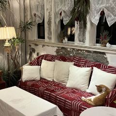 Cooperland User Photo