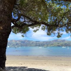 Akaroa Fish & Chips User Photo