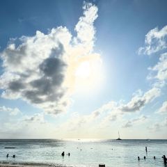 The Cracked Conch by the Sea User Photo