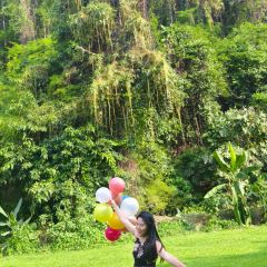 Valley Coffee Lanna Resort User Photo