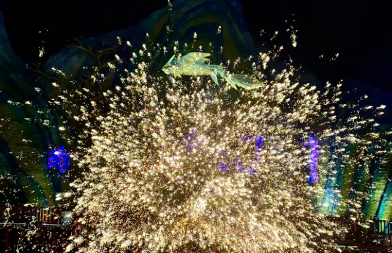 伴溪月金湯豬肚雞