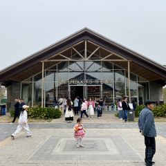 沈盪飯店張用戶圖片