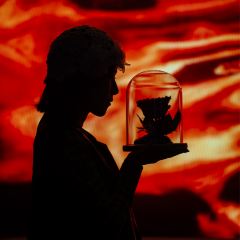 Saffron User Photo