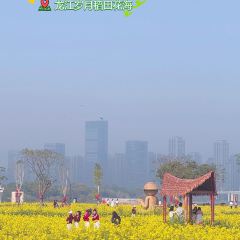 老字号青年路锅边糊 User Photo