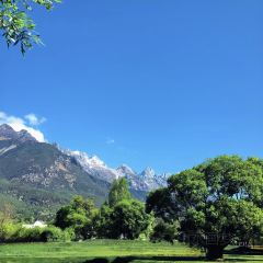 7 sea bar User Photo