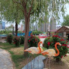 China Town Chinese Restaurant 여행 사진