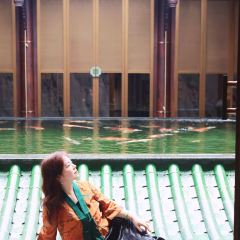 问山海 User Photo