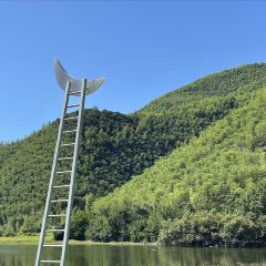 小杭坑2号营地 User Photo