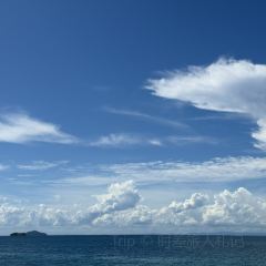 沙巴樂樂中餐廳張用戶圖片