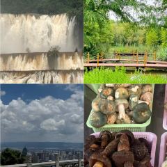 沾益龔氏辣子雞(沾益店)張用戶圖片