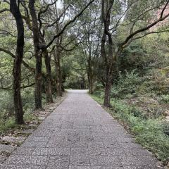 大三碗(旧街店) User Photo