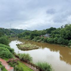 艾叶土鸡脚(艾叶店) User Photo