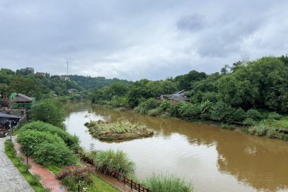 艾叶土鸡脚(艾叶店)