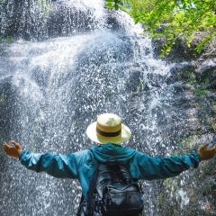 LOBSTER MONSTRE 여행 사진