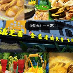 LAO MI LE User Photo