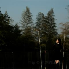 YUNYA COFFEE User Photo