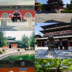 海星辰海鲜大排档(黄金海岸店) User Photo