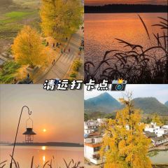 LONG YI FEN JIAO PU User Photo