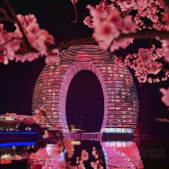 太湖船說•魚家菜（漁人碼頭店）張用戶圖片