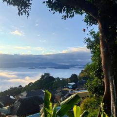 申记臭豆腐煮鱼(五一步行街店) User Photo