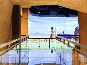 Shimao Museum