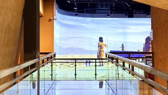 Shimao Museum