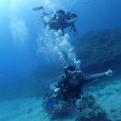 Oleai Beach Bar & Grill User Photo