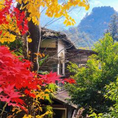 VERTERE Taproom User Photo