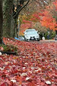 201169**** 法拉盛福朋喜來登酒店優惠