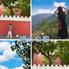 Shiwushouzuotianpin User Photo