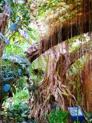 唐山植物園