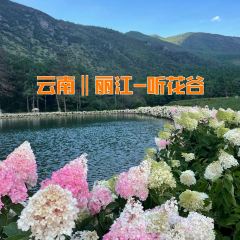 听花谷餐厅 User Photo
