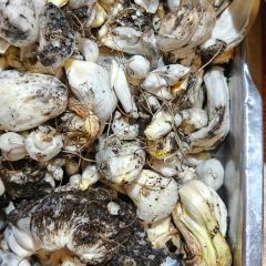 博爱杂拌王(果园路店) User Photo