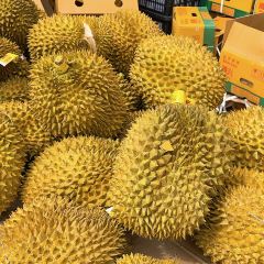 鱼众不同(博湖鱼庄分店) User Photo