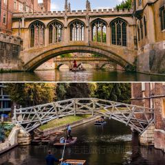 Jack's Gelato User Photo