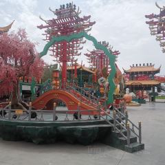 沙湖不夜城 User Photo
