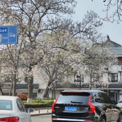 麥當勞（常州西瀛裡店）張用戶圖片