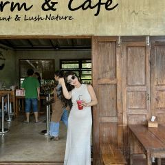 Elefin Farm & Cafe เอเลฟิน ฟาร์ม แอนด์ คาเฟ่ User Photo