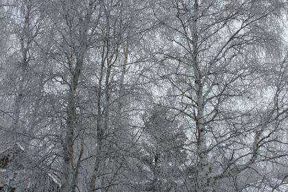 Restaurant Hall of Hotel Anastasia