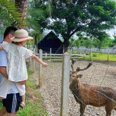 Villa at On Organic Farm User Photo