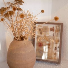 六月瓣咖啡 User Photo